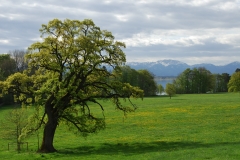 Natur