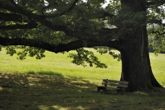 Natur
