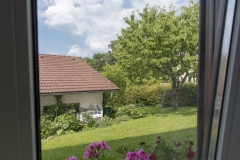 Ausblick
