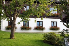 Haus